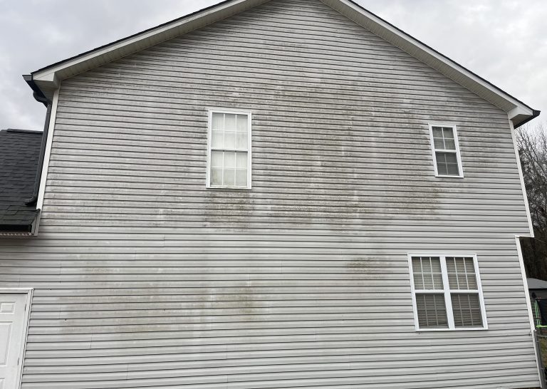 Dirty House Before Pressure Washing