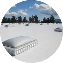 Commercial TPO Roof Cleaning